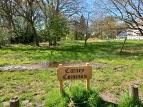 Catney Common